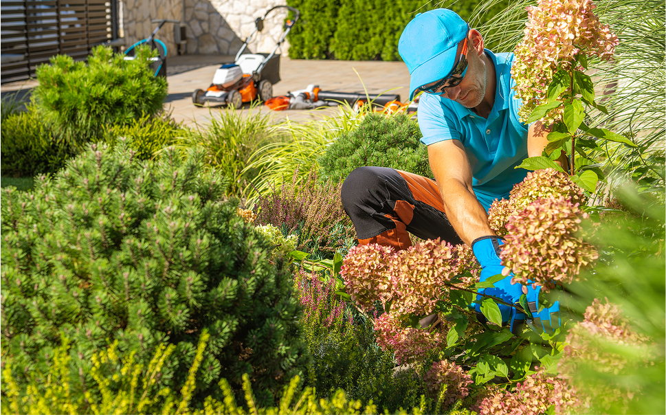 Garden Design & Renovation