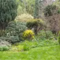 Spring Awakening: What to Do in Your Garden This March and April